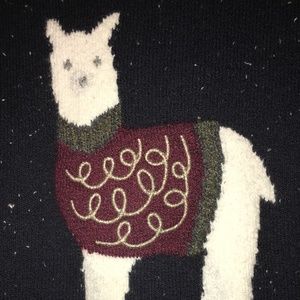 The LOFT Alpaca Sweater size XS